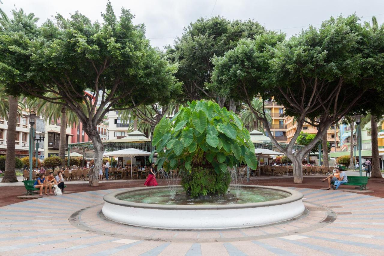 Home2Book Charming Apartment Puerto De La Cruz, 103 Zewnętrze zdjęcie